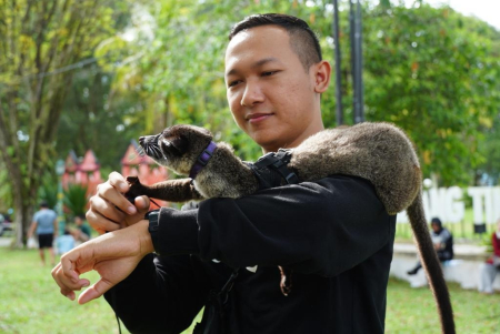 BERINTERAKSI DENGAN MUSANG HUTAN