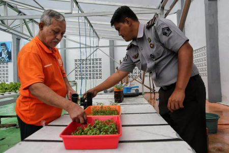 PEMBINAAN KEMANDIRIAN WARGA BINAAN