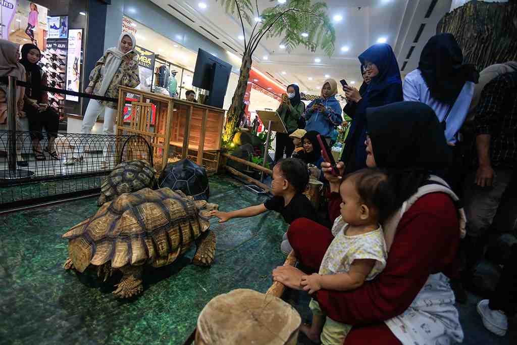 KEBUN BINATANG MASUK MAL