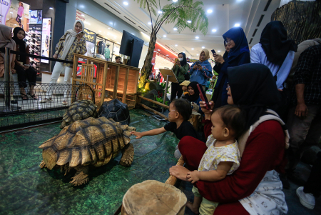KEBUN BINATANG MASUK MAL