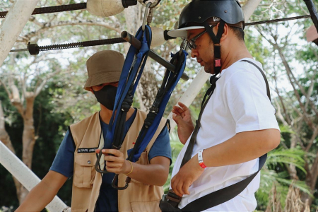 BERMAIN FLYING FOX