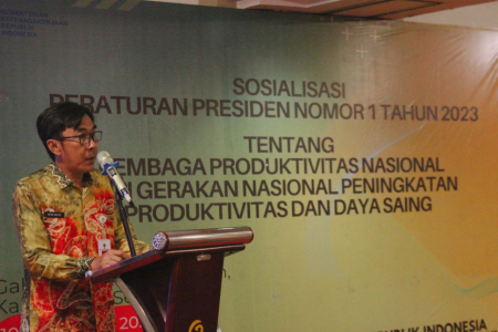 PILOT PROJECT PENGEMBANGAN PRODUKTIVITAS