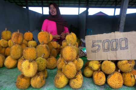 PENJUALAN BUAH EMPAKAN KHAS KAPUAS HULU