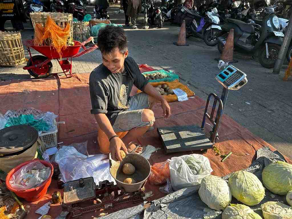 HARGA KENTANG NAIK