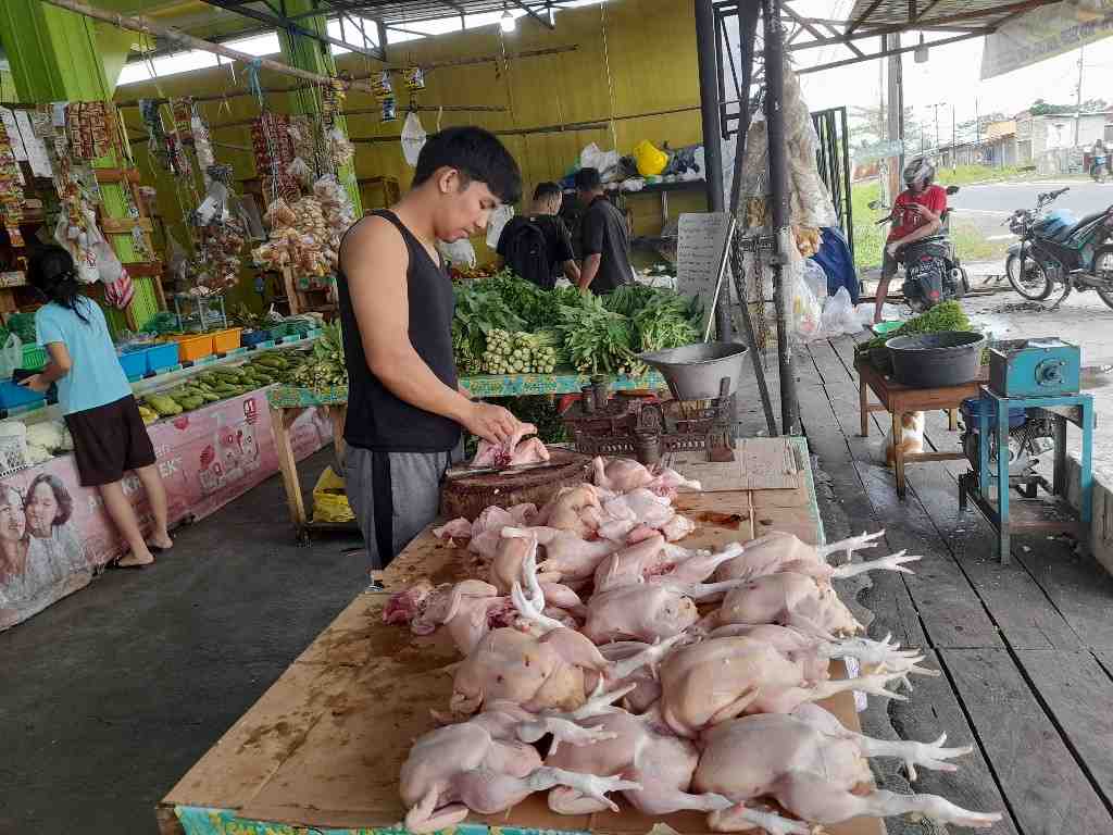 HARGA AYAM POTONG TURUN
