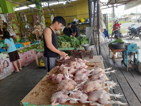 HARGA AYAM POTONG TURUN