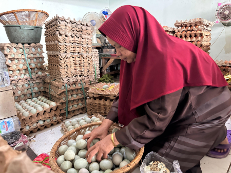 MEMILAH TELUR BEBEK
