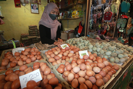 HARGA TELUR STABIL
