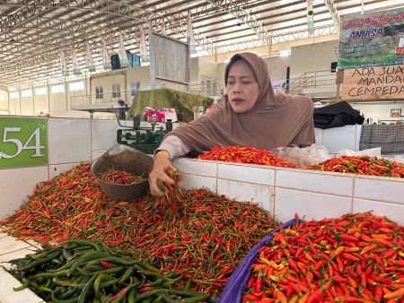HARGA JUAL CABAI NORMAL