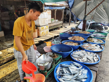 PENJUAL IKAN LAUT