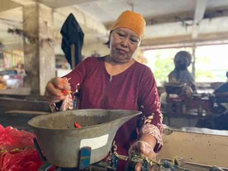 TIMBANG CABAI RAWIT