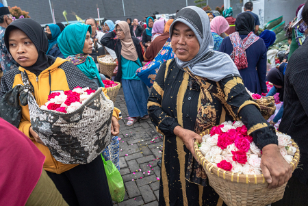 HARGA BUNGA MAWAR TABUR MELONJAK