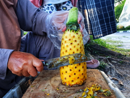 KUPAS BUAH NANAS MADU
