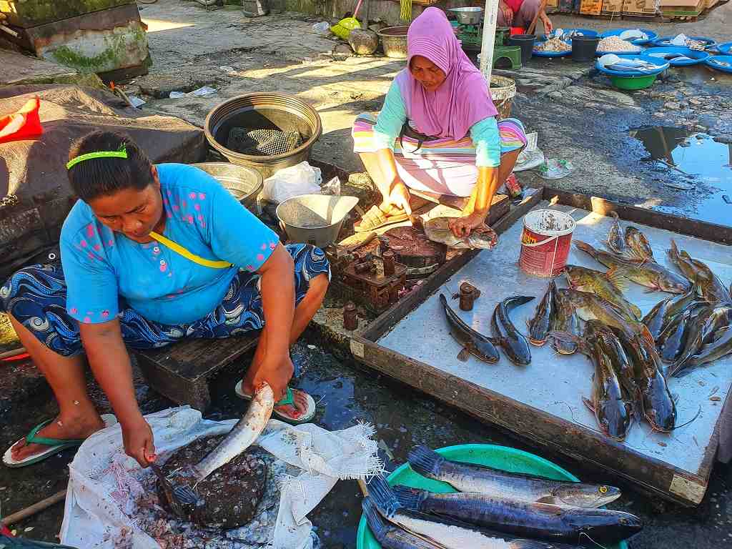 MEMBERSIHKAN IKAN SUNGAI