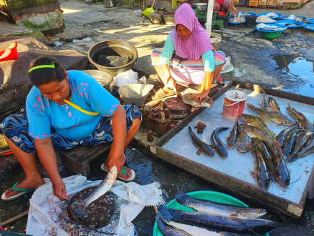 MEMBERSIHKAN IKAN SUNGAI