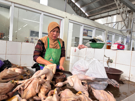 PENJUAL AYAM KAMPUNG