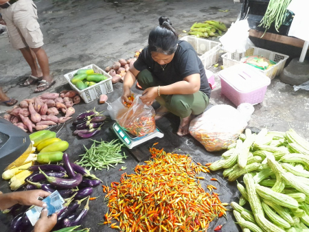 HARGA CABAI RAWIT TURUN 