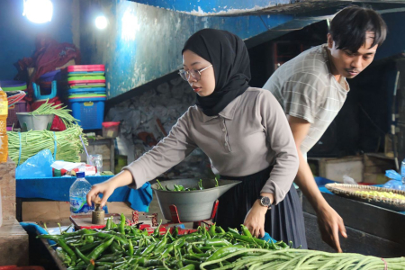 HARGA CABE HIJAU TURUN