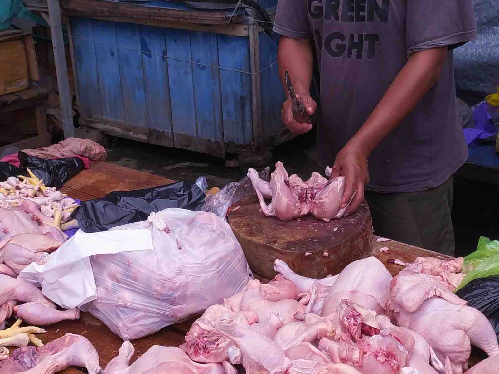 JUAL AYAM RAS