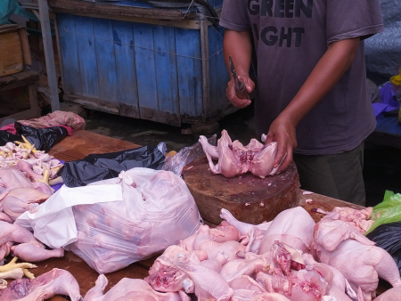 JUAL AYAM RAS