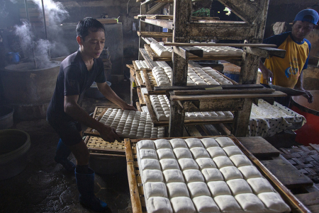 DAMPAK KENAIKAN HARGA KEDELAI
