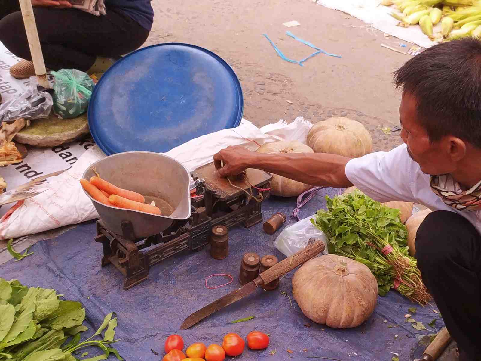 TIMBANG WORTEL