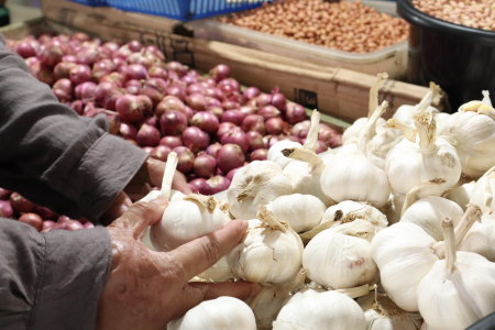 HARGA BAWANG PUTIH STABIL