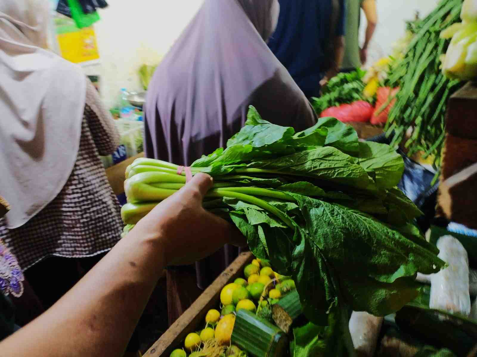 HARGA SAWI HIJAU NAIK