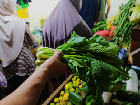 HARGA SAWI HIJAU NAIK