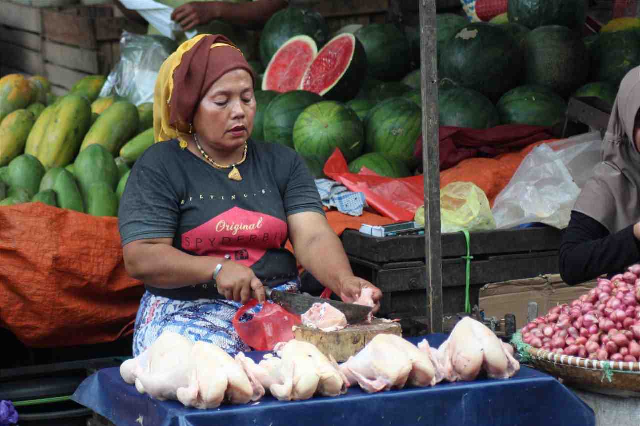 HARGA AYAM NAIK 