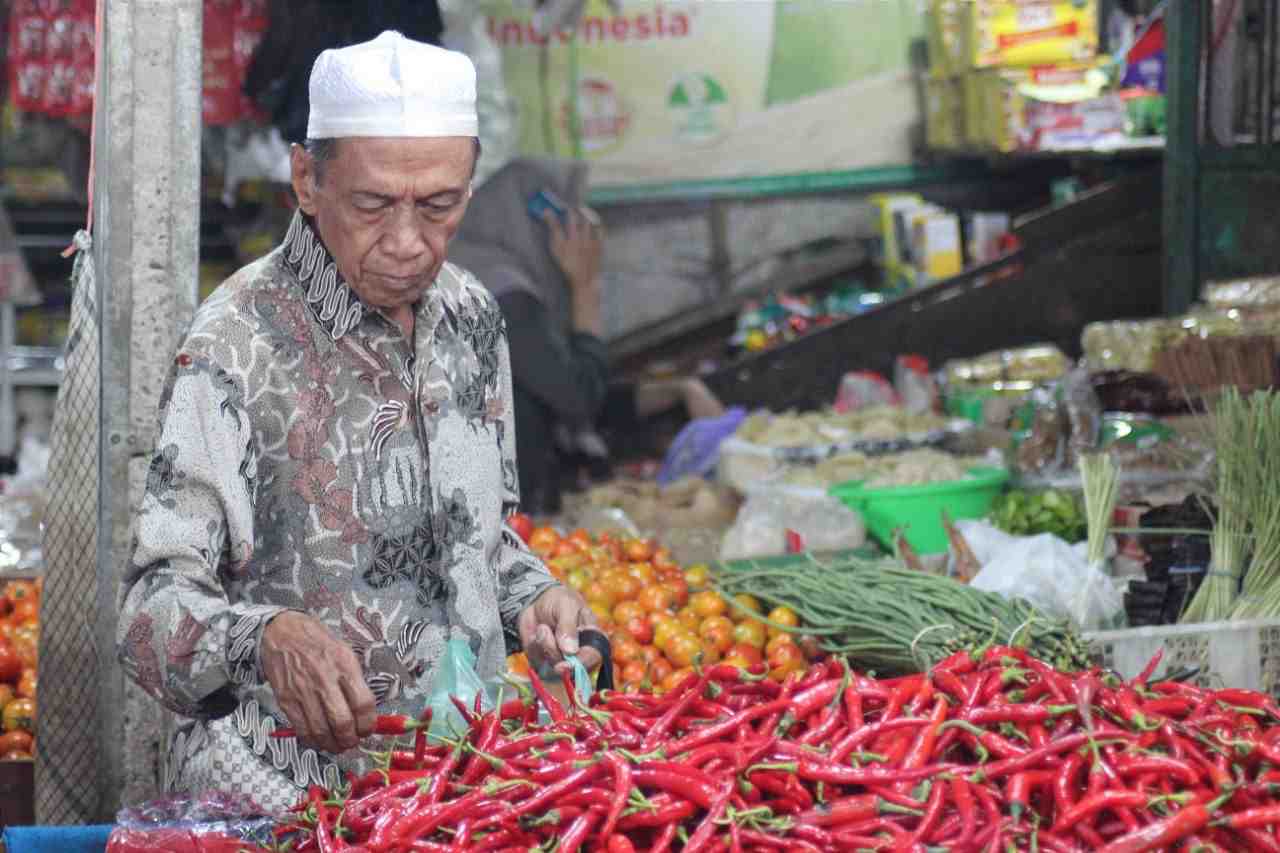 HARGA CABAI BESAR NAIK