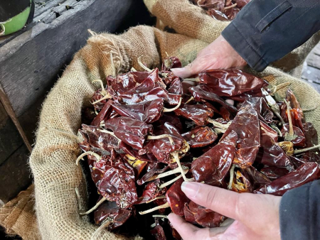 CABAI MERAH KERING