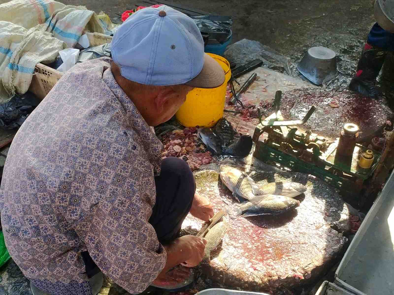 BERSIHKAN IKAN NILA