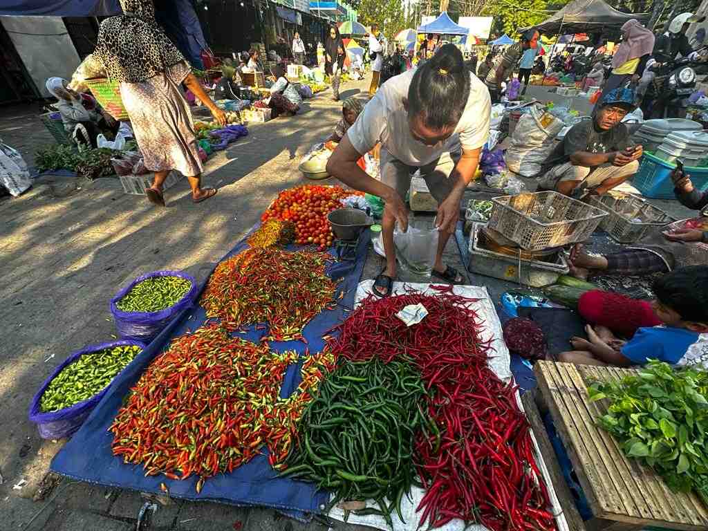 HARGA CABAI MERAH STABIL