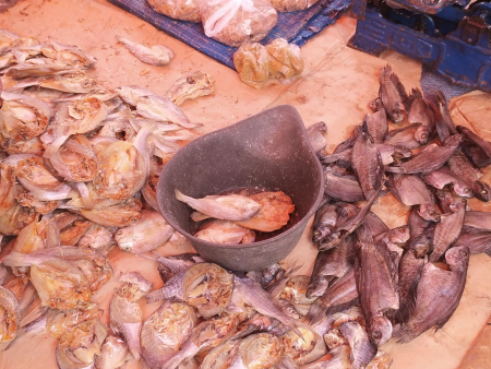 JUAL IKAN ASIN KEPALA BATU