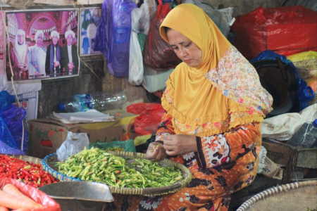 HARGA CABAI RAWIT HIJAU STABIL