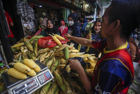 PERMINTAAN JAGUNG JELANG PERGANTIAN TAHUN