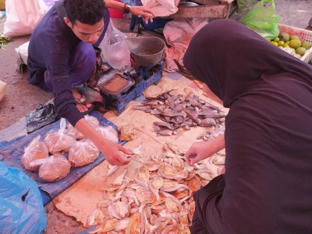 JUAL IKAN ASIN KEPALA BATU