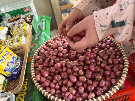 BELI BAWANG MERAH