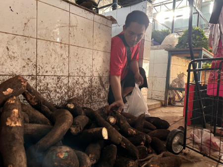 JUAL UBI KAYU