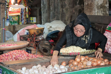 HARGA BAWANG PUTIH NAIK