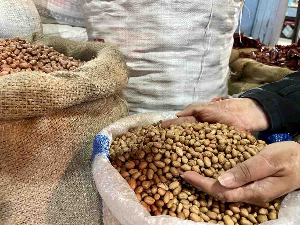 AMBIL KACANG TANAH