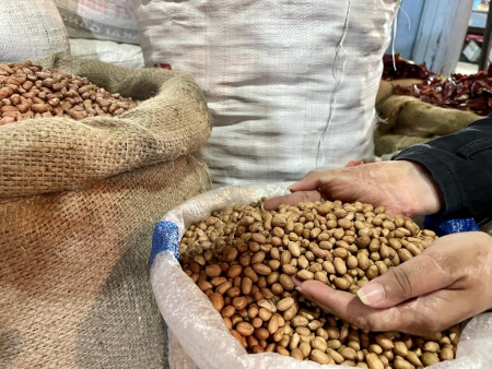 AMBIL KACANG TANAH