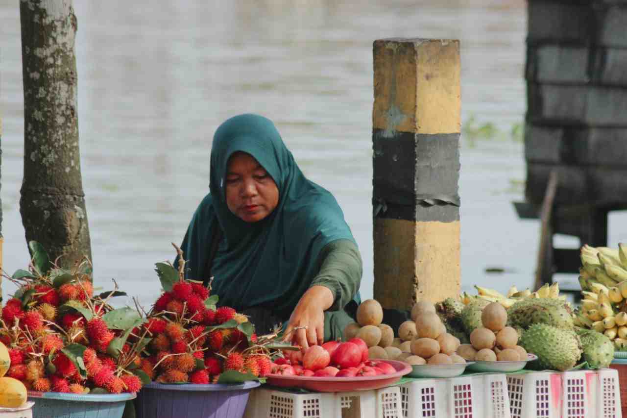 JUAL JAMBU AIR