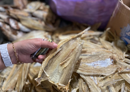BELI IKAN ASIN KAPASAN