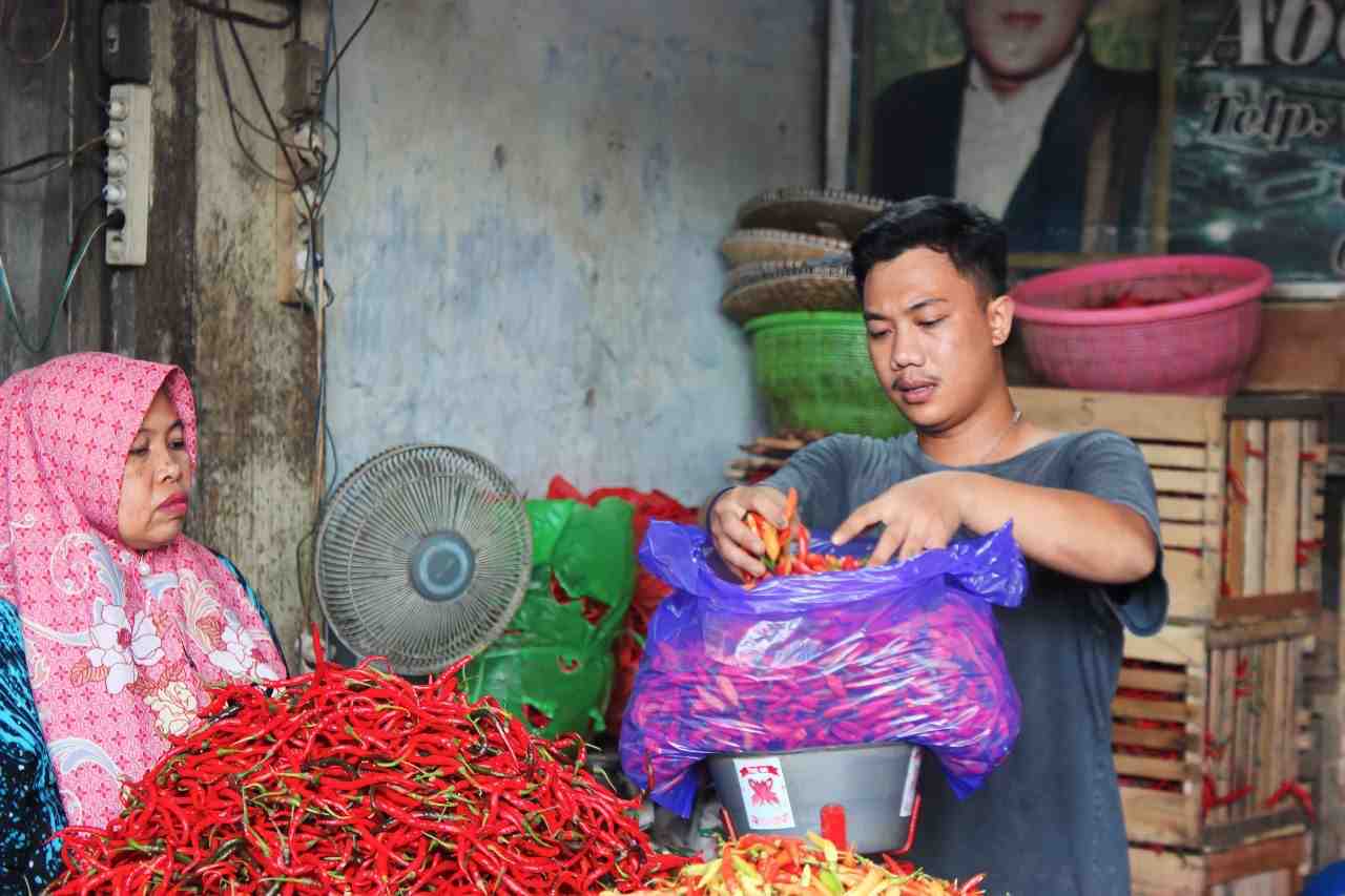 HARGA CABAI BESAR MERAH NAIK