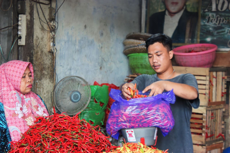 HARGA CABAI BESAR MERAH NAIK