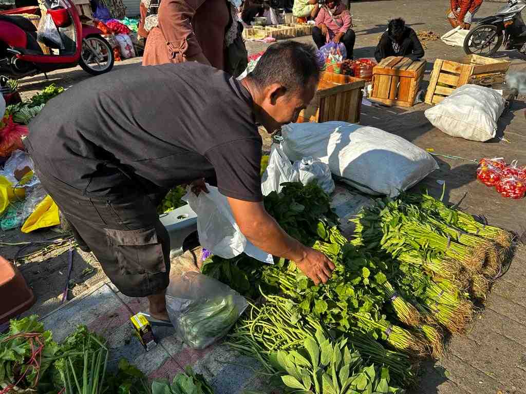 ANEKA SAYURAN STABIL