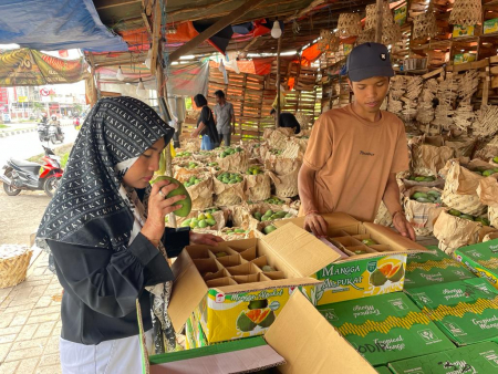PILIH MANGGA 