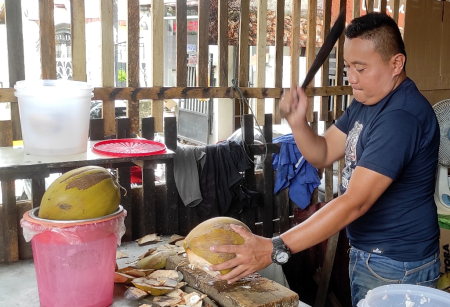 BELAH BATOK KELAPA